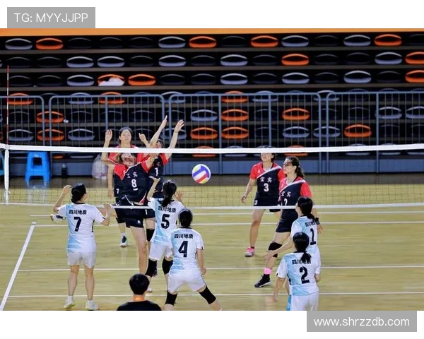 南京排球队引领排球新风潮最新意识TOP10揭晓